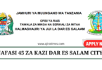 Dar es Salaam City Council 45 Vacancies Tanzania