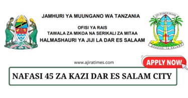 Dar es Salaam City Council 45 Vacancies Tanzania