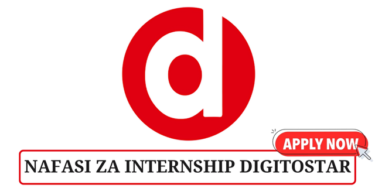 Digitostar Internship Tanzania