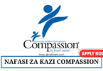 Director of Program Effectiveness Research at Compassion August 2024