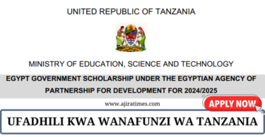 Egypt Government Scholarship for Tanzanian Students 2024-2025