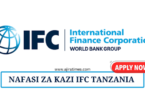 Investment Officer at IFC August 2024