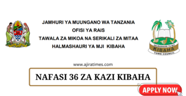 Kibaha Town Council Vacancies Tanzania