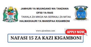 Kigamboni Municipal Council Vacancies Tanzania