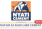 Lake Cement Vacancies Tanzania