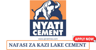 Lake Cement Vacancies Tanzania