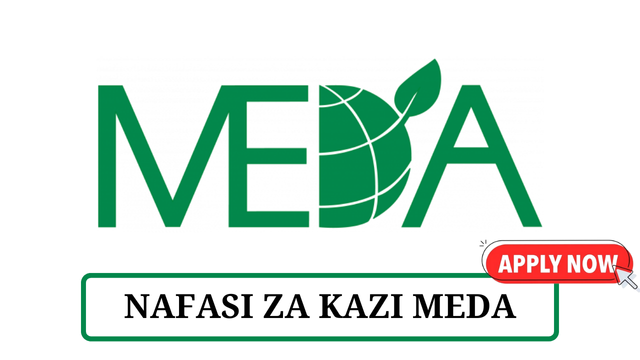 MEDA Consultant Vacancies Tanzania