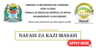 Masasi Town Council Vacancies July 2024