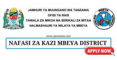 Mbeya District Council Vacancies July 2024