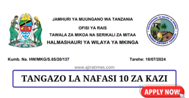 Mkinga District Council Vacancies Tanzania