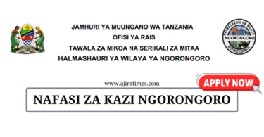 Ngorongoro District Council Vacancies Tanzania