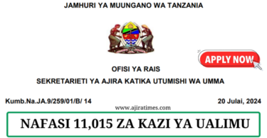 PSRS (Utumishi) 11015 Teaching Vacancies Tanzania