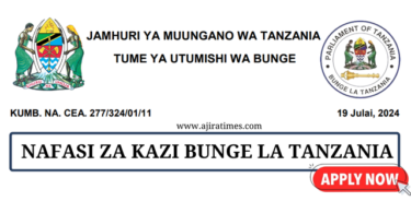 Parliament of Tanzania Vacancies