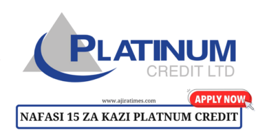 Platinum Credit Vacancies Tanzania