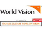 Regional WASH Specialist at World Vison July 2024