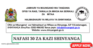 Shinyanga District Council Vacancies Tanzania