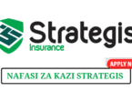 Strategis Insurance Vacancies Tanzania