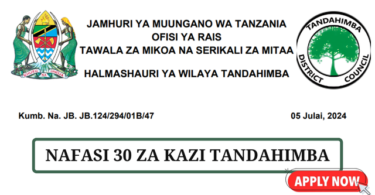 Tandahimba District Council Vacancies Tanzania