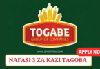 Togabe Group Vacancies Tanzania