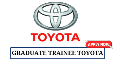 Toyota Graduate Training Program 2024