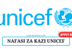 UNICEF Vacancies Tanzania