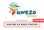 Uwezo Vacancies Tanzania