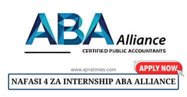 Audit Internship at ABA Alliance August 2024