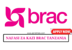 Brac Maendeleo Vacancies August 2024