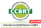 CCBRT Volunteer Vacancies August 2024