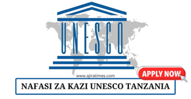 Call for Proposal at UNESCO August 2024