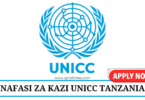 Control and Risk Associate Consultant at UNICC August 2024