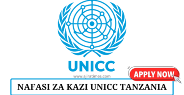 Control and Risk Associate Consultant at UNICC August 2024