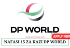 DP World Jobs Vacancies August 2024