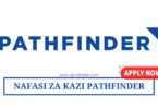 Director of Programs Vacancies at Pathfinder August 2024