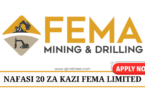 Fema Mining & Drilling Ltd Vacancies August 2024