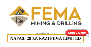 Fema Mining & Drilling Ltd Vacancies August 2024