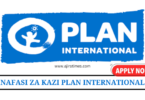 Finance Manager at Plan International August 2024