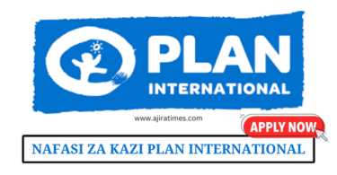 Finance Manager at Plan International August 2024