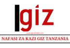 Fiscal Policy Advisor at GIZ August 2024