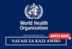 Health Financing Officer (NO-C) Vacancies at WHO August 2024