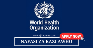 Health Financing Officer (NO-C) Vacancies at WHO August 2024