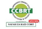 Human Resource Business partner at CCBRT August 2024