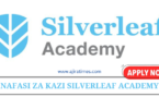 Human Resources Officer at Silverleaf Academy August 2024