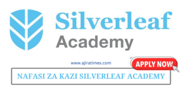 Human Resources Officer at Silverleaf Academy August 2024