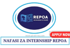 Internship Vacancies at REPOA August 2024