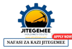 Jitegemee Holdings Vacancies August 2024