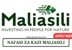 Maliasili Vacancies August 2024