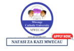 Mwenge Catholic University (MWECAU) Vacancies August 2024