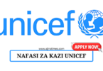 National Consultant Vacancy at UNICEF August 2024