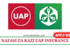 Payable Accountant Vacancies at UAP Insurance August 2024